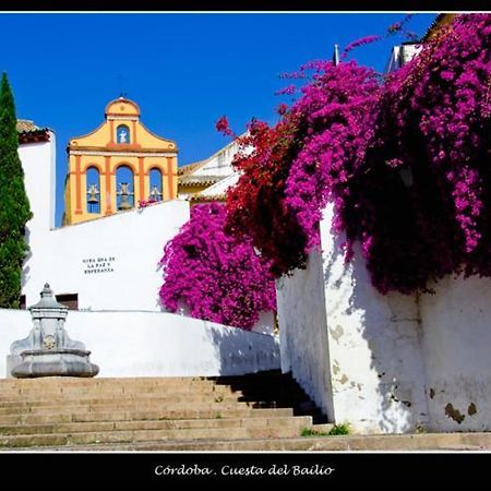 コルドバCentro Historico Cristo De Los Faroles La Preferidaアパートメント エクステリア 写真