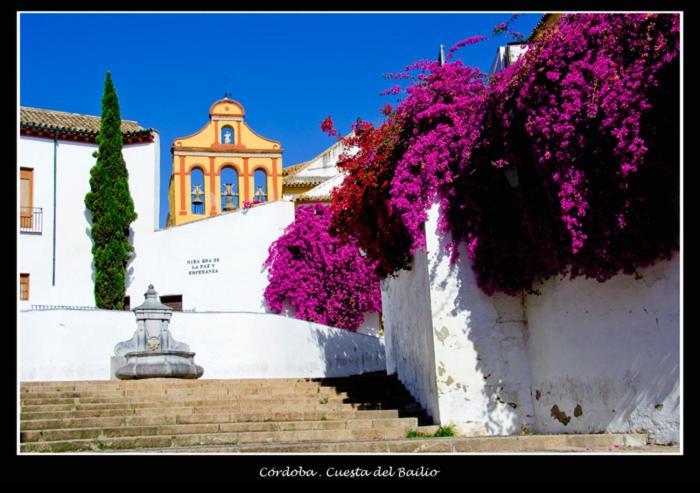 Centro Historico Cristo De Los Faroles La Preferida コルドバ エクステリア 写真